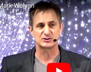 Author Mark Wolynn